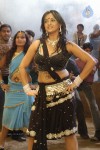 Tanu Roy Hot Gallery - 43 of 90