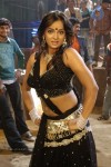 Tanu Roy Hot Gallery - 74 of 90