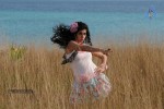 Tapsee Hot Gallery - 34 of 52