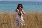 Tapsee Hot Gallery - 35 of 52