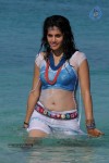 Tapsee Hot Photos - 14 of 34