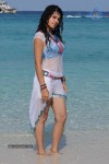 Tapsee Hot Photos - 26 of 34