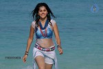 Tapsee Hot Photos - 32 of 34