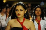 Tasha Hot Photos - 26 of 46