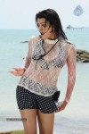 Tashu Kaushik Hot Gallery - 27 of 77