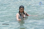 Tashu Kaushik Hot Gallery - 28 of 77