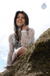 Tashu Kaushik Hot Gallery - 35 of 77
