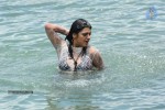 Tashu Kaushik Hot Gallery - 24 of 77