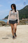 Tashu Kaushik Hot Gallery - 32 of 77