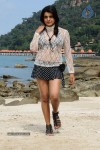 Tashu Kaushik Hot Gallery - 47 of 77