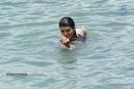 Tashu Kaushik Hot Gallery - 51 of 77