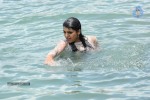 Tashu Kaushik Hot Gallery - 59 of 77