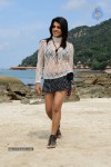 Tashu Kaushik Hot Gallery - 68 of 77