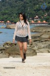 Tashu Kaushik Hot Gallery - 70 of 77