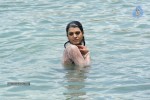 Tashu Kaushik Hot Gallery - 76 of 77
