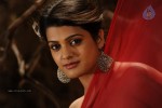 Tashu Kaushik Hot Photos - 17 of 88