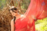 Tashu Kaushik Hot Photos - 28 of 88