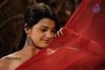 Tashu Kaushik Hot Photos - 41 of 88