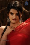 Tashu Kaushik Hot Photos - 42 of 88