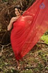 Tashu Kaushik Hot Photos - 47 of 88