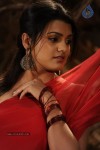 Tashu Kaushik Hot Photos - 50 of 88