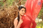 Tashu Kaushik Hot Photos - 56 of 88