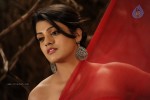 Tashu Kaushik Hot Photos - 67 of 88