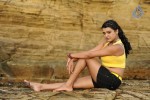 Tashu Kaushik Hot Photos - 9 of 35