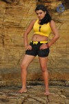 Tashu Kaushik Hot Photos - 23 of 35