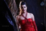 Tashu Kaushik New Spicy Gallery - 22 of 51