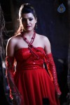 Tashu Kaushik New Spicy Gallery - 41 of 51