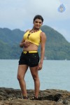 Tashu Kaushik Spicy Stills - 2 of 70