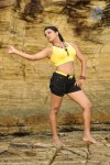 Tashu Kaushik Spicy Stills - 10 of 70