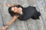 Tripura Hot Stills - 74 of 79