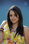 Trisha Spicy Gallery  - 67 of 90