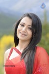 Trisha Spicy Gallery  - 26 of 90