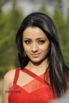 Trisha Spicy Gallery  - 30 of 90