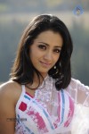 Trisha Spicy Gallery  - 47 of 90