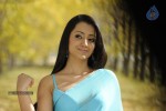 Trisha Spicy Gallery  - 87 of 90