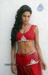 Veena Malik Spicy Photos - 4 of 21