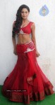Veena Malik Spicy Photos - 10 of 21