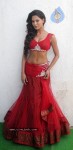 Veena Malik Spicy Photos - 17 of 21