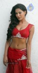 Veena Malik Spicy Photos - 21 of 21