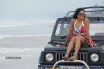 Vimala Raman Latest Spicy Stills - 11 of 25