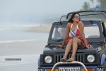 Vimala Raman Latest Spicy Stills - 13 of 25
