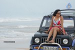 Vimala Raman Latest Spicy Stills - 19 of 25