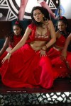 Zabyn Khan Spicy Stills - 49 of 330