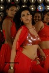 Zabyn Khan Spicy Stills - 52 of 330