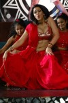 Zabyn Khan Spicy Stills - 53 of 330