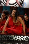 Zabyn Khan Spicy Stills - 59 of 330